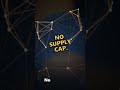 One key minted 1000 fake Bitcoin on Monad
