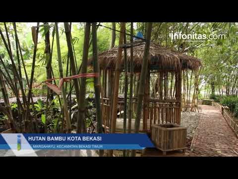 Hutan Bambu Kota Bekasi Margahayukecamatan Bekasi Timur