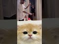 Old Women Entering On Wrong Time 😳🤣 #cat #dance #funny #shorts
