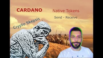 How to Send/Receive Native Cardano Tokens