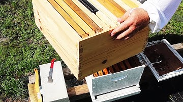 EXPANDING THE HIVE - Adding another brood box