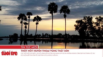 Thốt nốt huyền thoại vùng thất sơn
