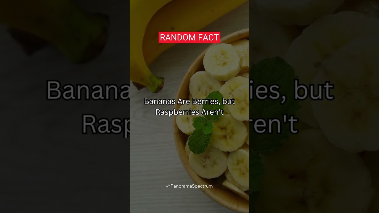 Random Facts | Facts about Bananas 