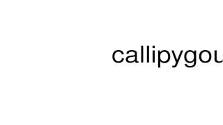 How to Pronounce Callipygous 