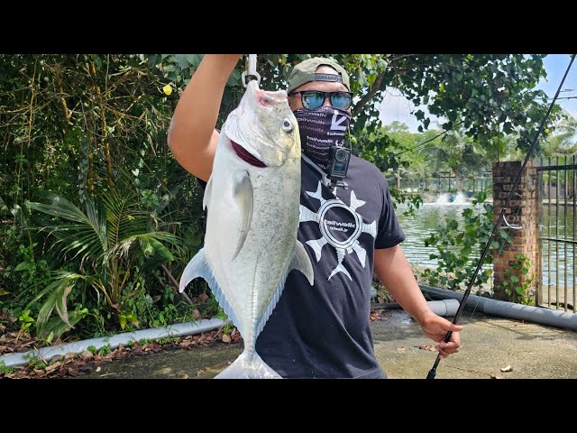 23 DAIWA SALTIGA 5000-XH | DRAG PERFORMANCE REVIEW - YouTube