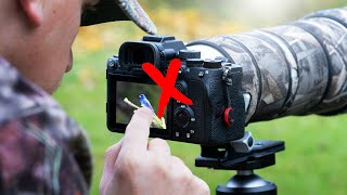 What&#39;s RUINING Your Bird Photography? Part 4 | Common Mistakes