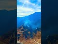 || Barot valley calmness || #subscribe