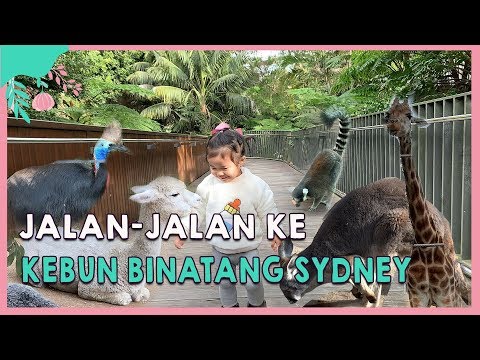 Video: Menginaplah Di Kebun Binatang Taronga Sydney Di Eco-pod
