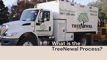 What is the TreeNewal Process?