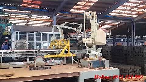 Hiệp Sáng: Tổ hợp rộng, 02 robot 500kg