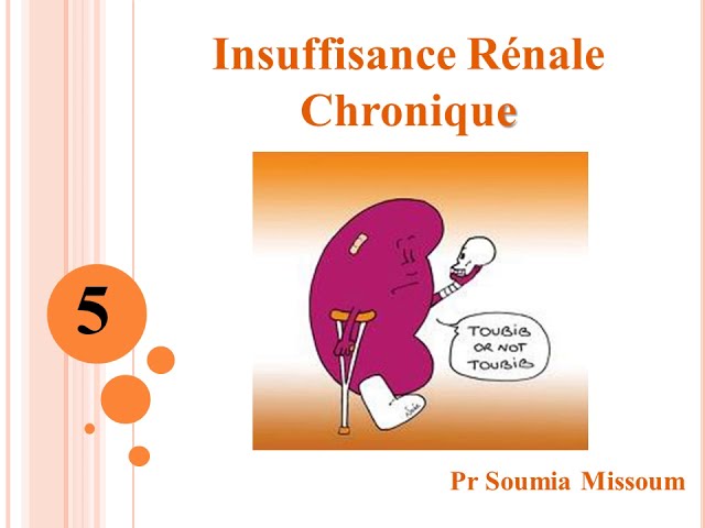 Insuffisance Rénale Chronique - YouTube