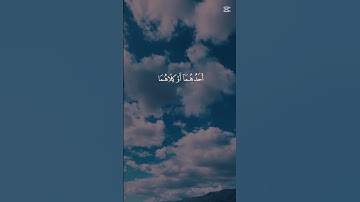 القران الكريم راحه نفسيه ❤️ #اكسبلور #المراه #haveitoldyoulatelythatiloveyou #لايك