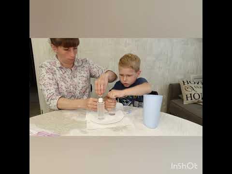 Коллоидный сад,эксперимент 🔥 - YouTube