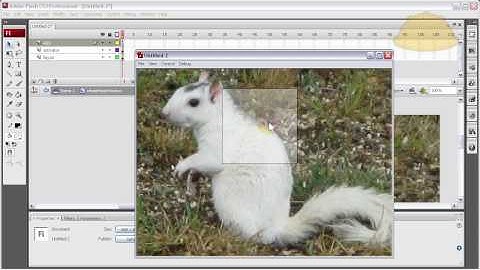 Magic Mouse Pan Image Windows Flash AS3 Tutorial CS3 CS4