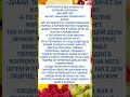 РЎРїР СЃРёР Рѕ Р Р рџ Ќ Рё РїРѕРґРїРёСЃРєСѓ вќ пёЏ РЎРїР СЃРёР Рѕ Р Р рџ Ќ Рё РїРѕРґРїРёСЃРєСѓ вќ пёЏ