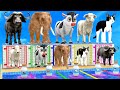 Don’t Choose The Wrong Milk With Elephant, Cow, Buffalo Escape Room Challenge Animal Cage Game New