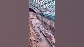 Dây tưới nhỏ giọt, Dây tưới phun mưa, Béc tưới xoay, Hệ thống tưới tự động Tháp Xanh