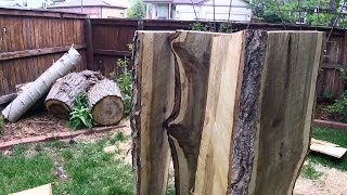 In this video, you will learn a technique for sawing a log into slabs of lumber using an electric chainsaw. You will not need a mill or 