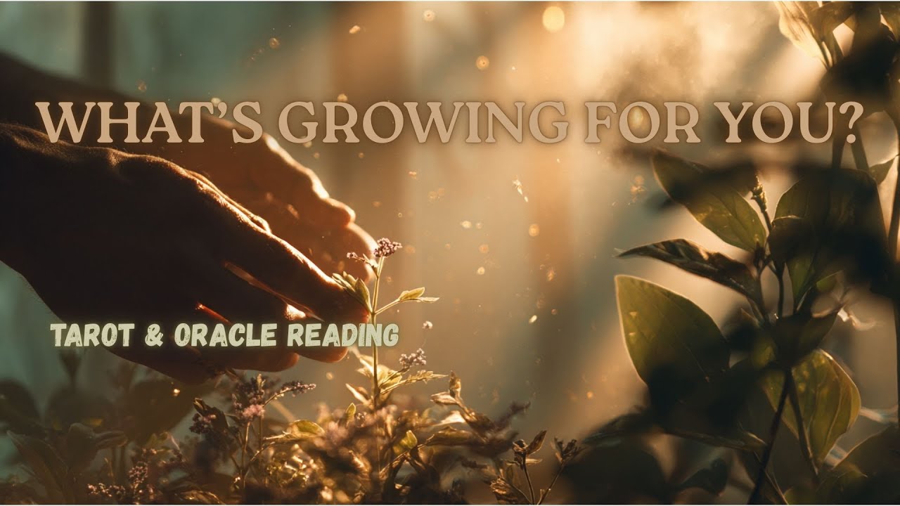Pick a Card - Your Inner Garden 🌿 A Message About Growth, Release & What’s Next