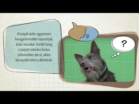 Videó: Hogyan kutyák olvasni az emberi test nyelvét