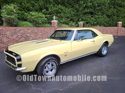 Butternut Yellow Gm