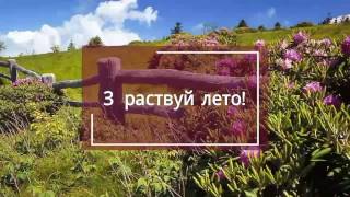 Северные Увалы ,Подосиновский район ,Кировская область ,река Пушма.