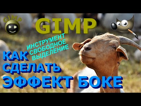 Бейне: Gimp-дегі фонды қалай жоюға болады