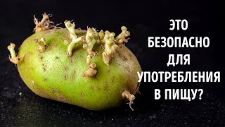 видео: 51 совет по безопасности, за которые вы скажете себе  картинка: 51 совет по безопасности, за которые вы скажете себе