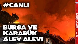 Bursa ve Karabük Yanıyor! Yangına Müdahale Zorlaşıyor! O Bölgeler Küle Döndü! İşte Son Gelişmeler
