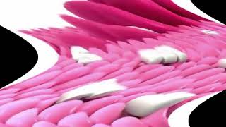 Samsung Logo Balls Feels Dizzy2