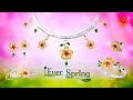 S.M. Celestial Jewelry Series XVI (II) – Ever Spring  | SupremeMasterTV.com | 4K