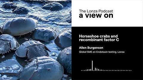 A View On Horseshoe crabs