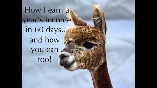 How I make a year&#39;s income working less than 60 days a year...and how you can too!