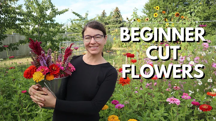 Cut Flower Garden for Beginners - From Seed to Bouquet - DayDayNews