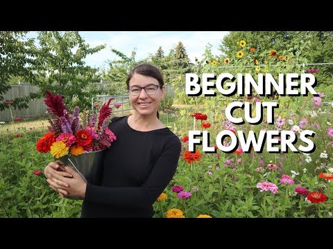 Video: Growing Garden Posies - Kako uzgajati cvijeće za bukete