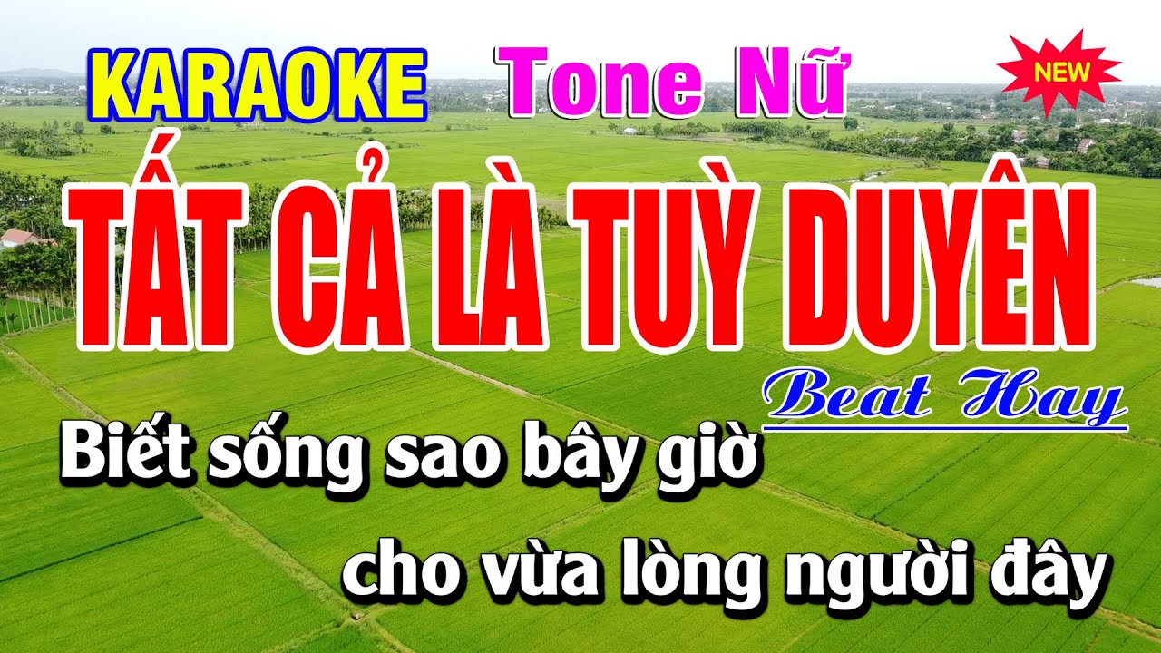 Karaoke Tất Cả Là Tuỳ Duyên Tone Nữ | Duy Sơn New