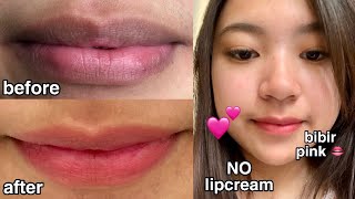 Lipbalm untuk Bibir Kering dan Hitam | Wardah Everyday Fruity Sheer Lip Balm| Tender Care Oriflame