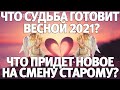 Что судьба готовит весной? Что придет новое на смену старому? ГАДАНИЕ НА ЛЮБОВЬ