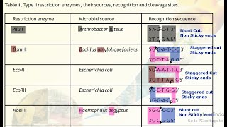 Restriction Endonucleases - 1/Biotechnology Processes By Jjs Sir For Class - 12, Kvpy, Neet, Nseb