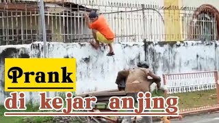 orang gila,dikejar anjing prank