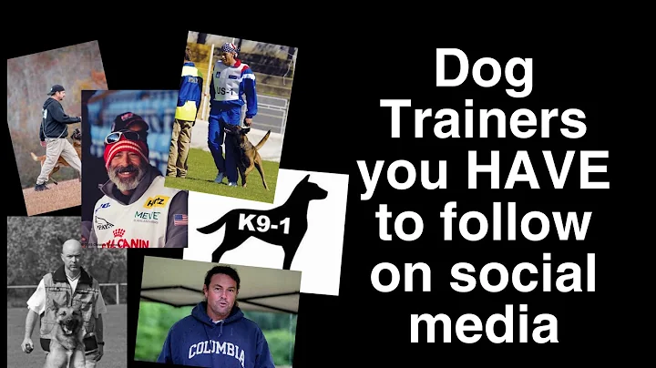 6 Dog Trainers You HAVE to FOLLOW on social Media