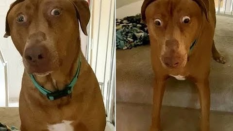 My replaced part in Project Nexus hosted by Nekon (2.1)