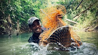 Không Lẽ Con Này Đã Cắn Đứt Hàng Loạt Lưỡi Câu Fishing Camping in the forest