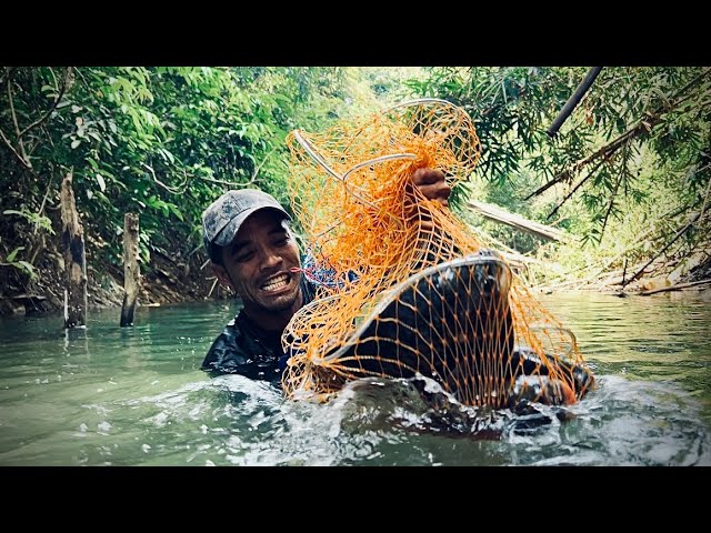 Không Lẽ Con Này Đã Cắn Đứt Hàng Loạt Lưỡi Câu Fishing Camping in the forest class=