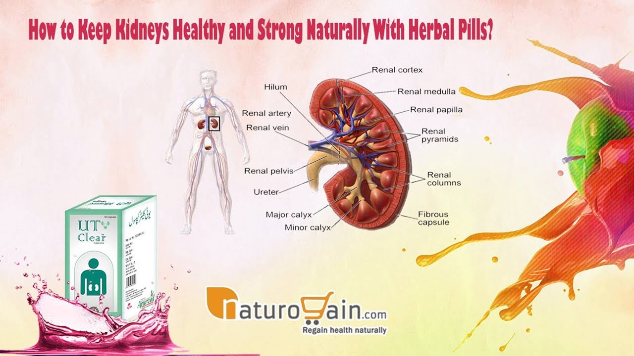 How to Keep Kidneys Healthy and Strong Naturally With Herbal Pills