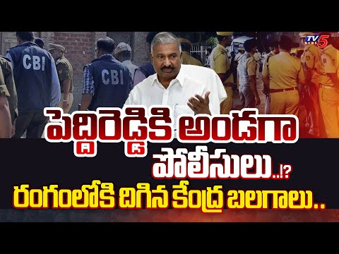 ఈసీ యాక్షన్.. | EC STRONG REACTION on Peddireddy Ramachandra Reddy ROWDYISM | Rajampet | TV5 News - TV5NEWS