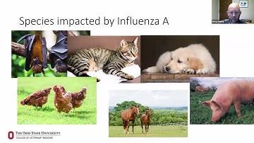 Dairy Farm Biosecurity Webinar and what we currently know as of April 25, 24 on HPAI in dairy cattle