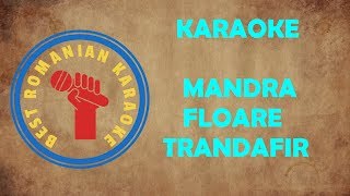 KARAOKE: Mandra Floare trandafir Versuri Negativ