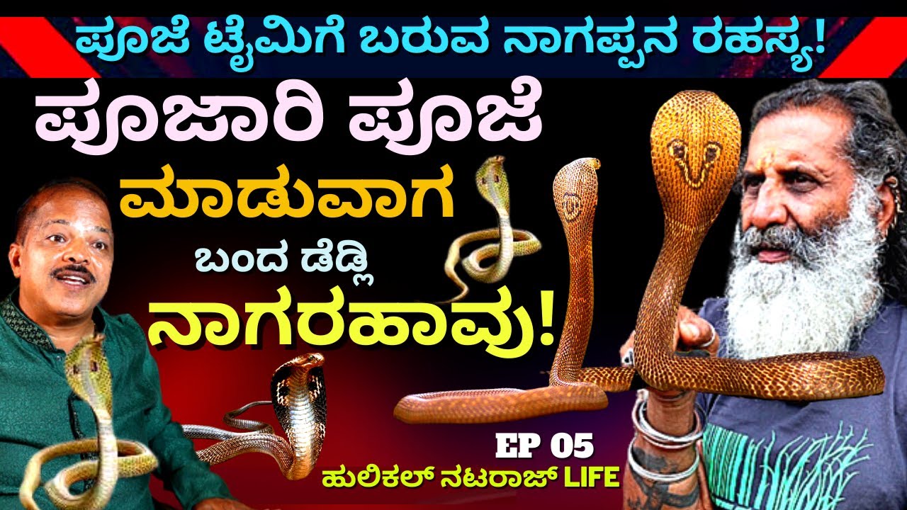"ಪೂಜೆ ಟೈಮಿಗೆ ಸರಿಯಾಗಿ ಬರುವ ನಾಗರಹಾವಿನ ರೋಚಕ ರಹಸ್ಯ ಬಯಲು!'-E05-Hulikal Nataraj-Kalamadhyama-