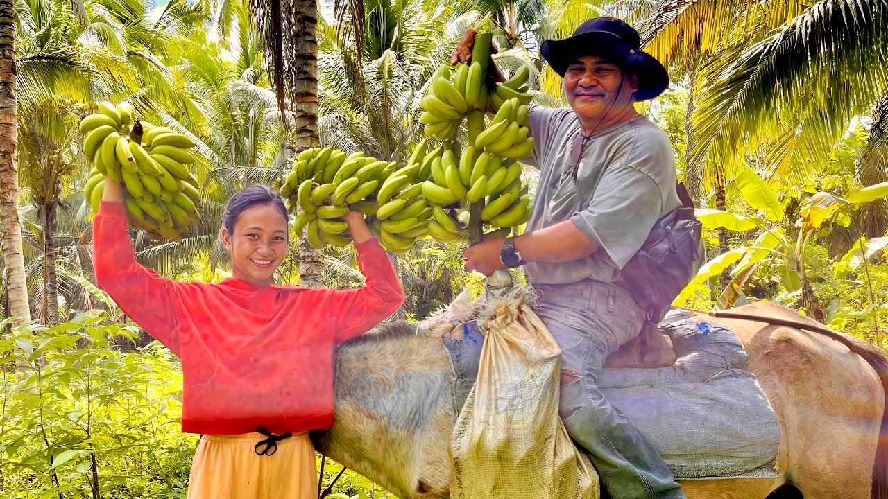 HARVESTING BANANA IN OUR FARM! Our Daily Routine in the Mountains 